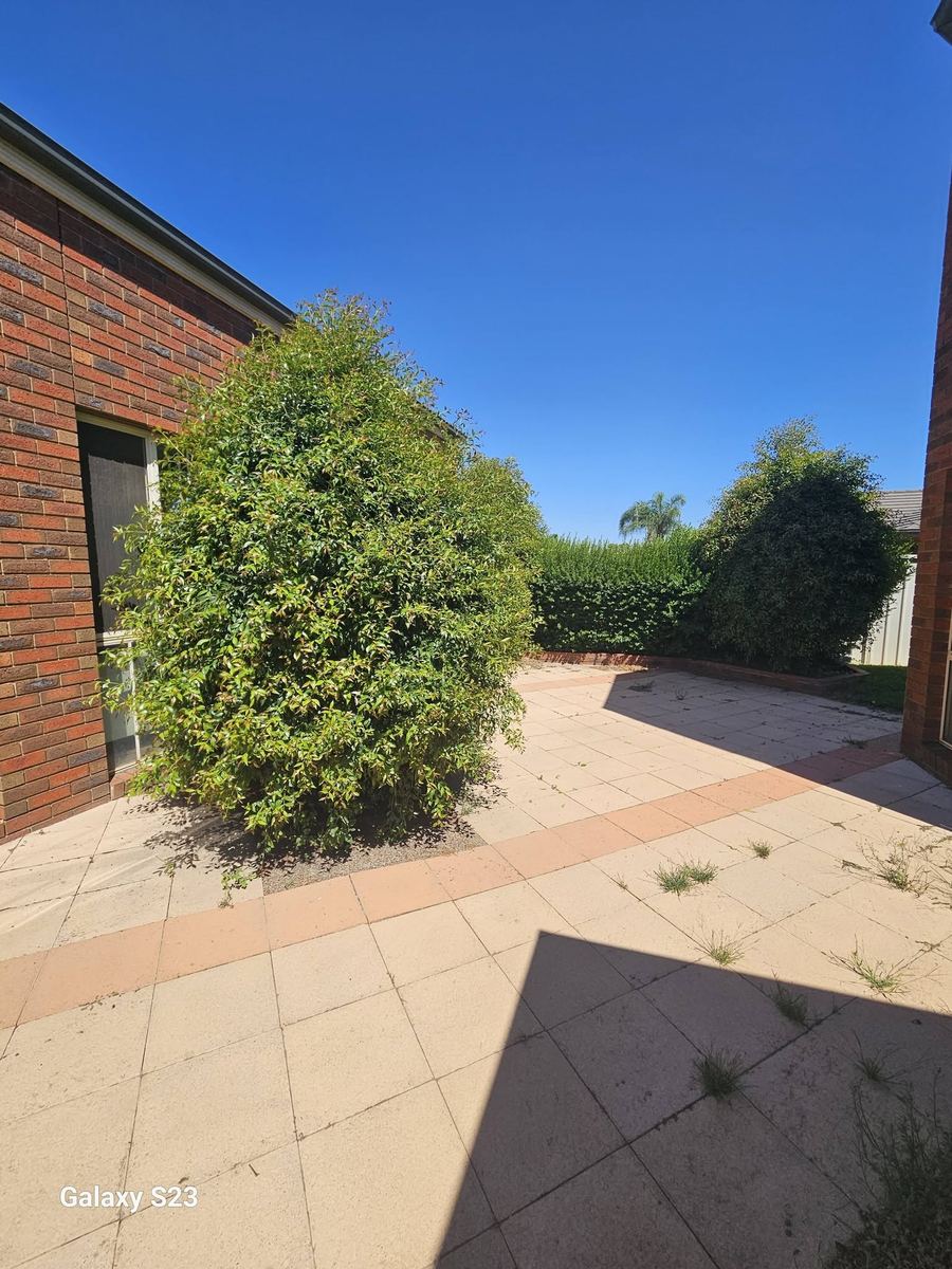 Hedge trimming and garden maintenance Shepparton