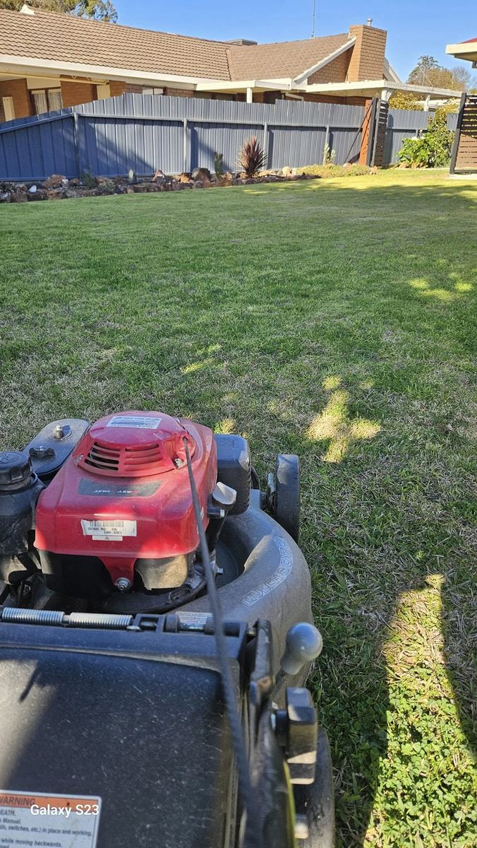 Lawn mowing residential property Shepparton