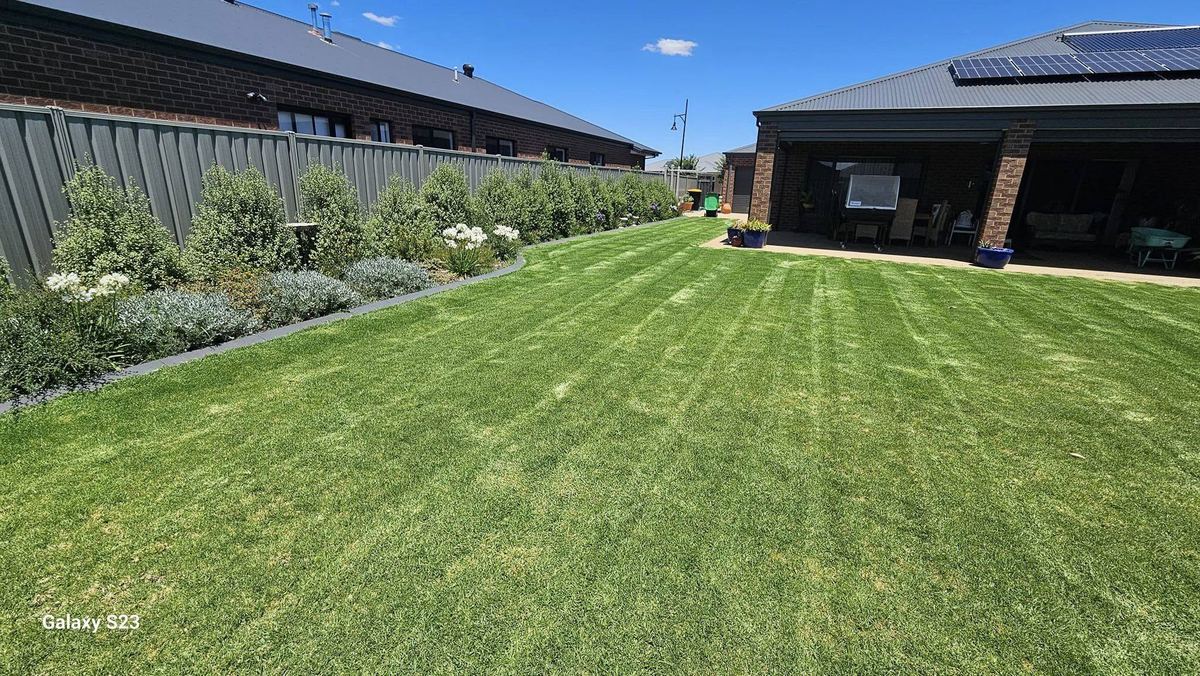 Freshly striped lawn mowing Mooroopna